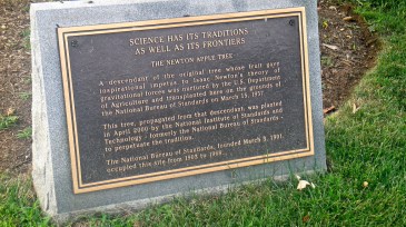 newton-plaque1